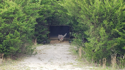 Practice your archery skills on a full size turkey!