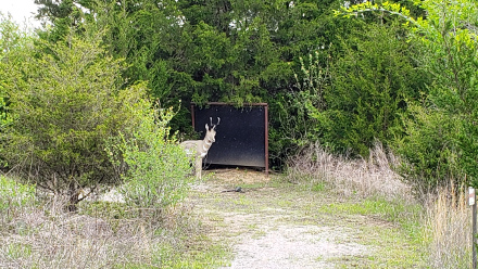 Sometimes you need to practice from more than one angle.